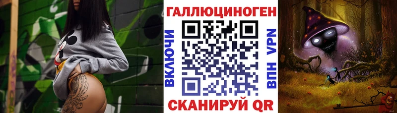 Псилоцибиновые грибы мицелий Кувшиново